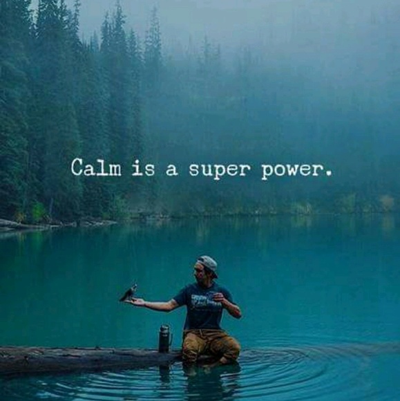 Meet your Posher, Lisa - Picture 1 of 1